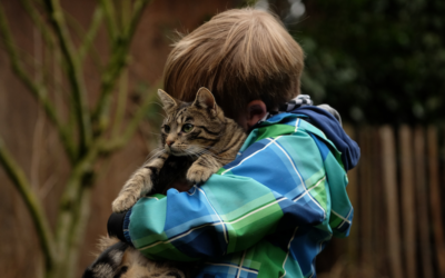 Empath Animals: What Are They… and How Can They Help Your Highly Sensitive Child?