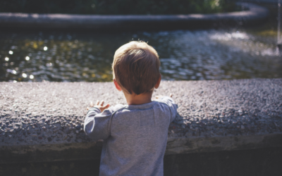 Highly Sensitive Children: Complete Expert Guide for Parents