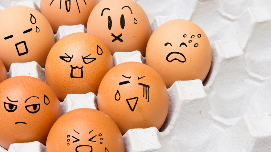 Emotional Regulation Activities for Kids 