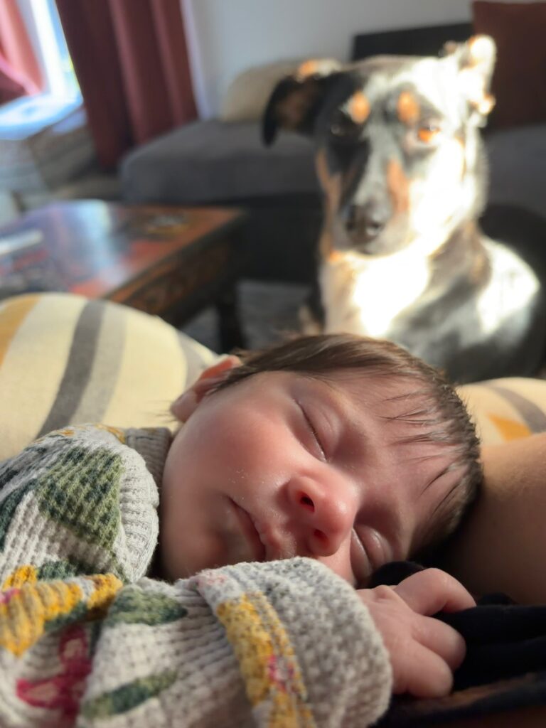 nicu parent support